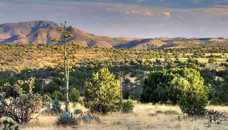What Passes for Beauty: A Death in Texas Image
